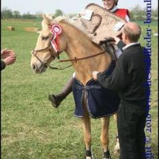 Palomino Bornhorse Pelle