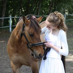 Anden særlig race  | Isabella * min skat :') SOLGT