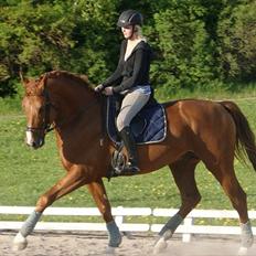 Oldenborg Kubriano langmose