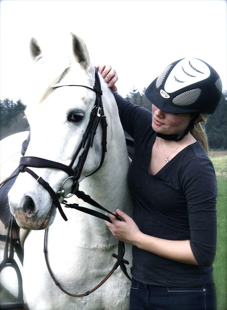 Fransk Sportspony Pacome  - Pacome? Du er det bedste der nogen sinde er sket for mig... Nu er du ikke længere min. 3 år, 7 måneder og 8 dage - jeg vil altid elske dig min dreng!!! <3 billede 1