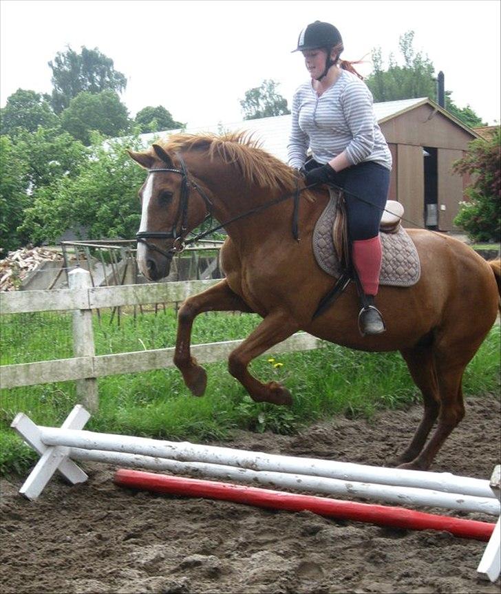 Anden særlig race Florina - Mig og florina springer :D <3
- Kig på hesten, og ikk mig ;) billede 16
