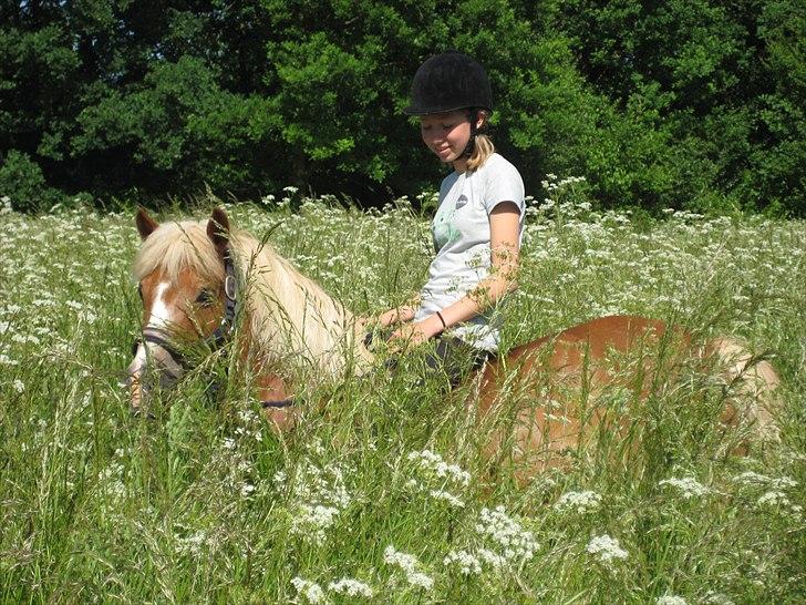 Anden særlig race Sasha *savnet !!!* - Fordi jeg virkelig elsker dig ! 

Lyden af hjertet der gir hellt slip !  billede 17