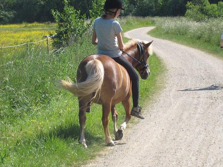 Anden særlig race Sasha *savnet !!!* - Farvel ! 

Sas jeg savner dig !  billede 19