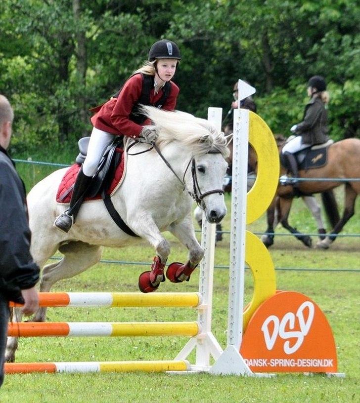 Islænder KRAFSA FRA RAVNEKROGEN |Skadet| - 11. Stævne på rebild D. 28/5 2011, LD<3

Hvis du bad mig råbe ud til hele verden at jeg elsker dig, så ville jeg bare hviske det i dit øre, for du er hele min verden.. billede 11