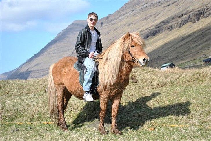 Færøsk hest Ljósi [Haft i pleje] - Rebekkas kæreste rider Ljósi :b | 20-04-2011 billede 8