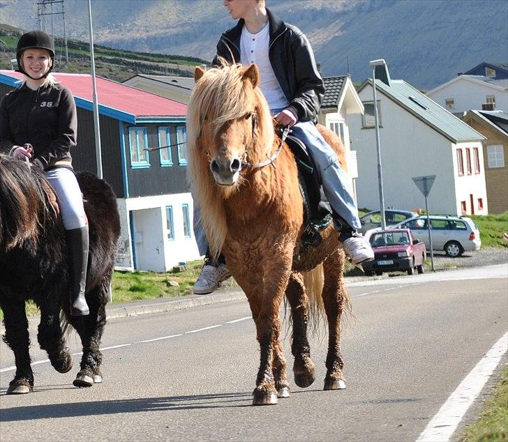 Færøsk hest Ljósi [Haft i pleje] - Rebekka og hendes kæreste på ridetur | 20-04-2011 billede 5