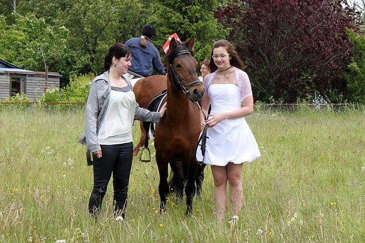 Anden særlig race Miss Topsy  - Min konfirmation, den 29. maj 2011 :) billede 4