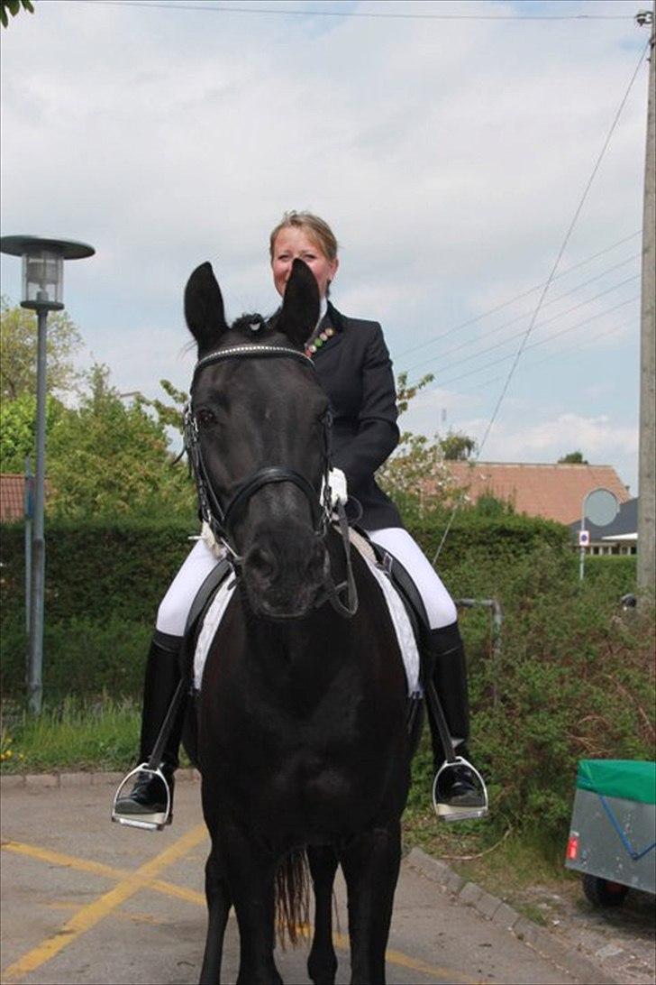 Dansk Varmblod Sahra- Må du hvile i fred - Min sidste tur på min elskede. billede 2