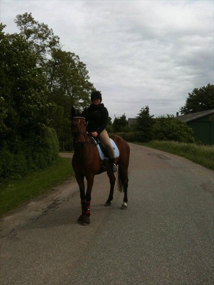 Traver Oscar Fønix -  Så vi på tur :) 
Fra lørdag d. 28/05-11 billede 7