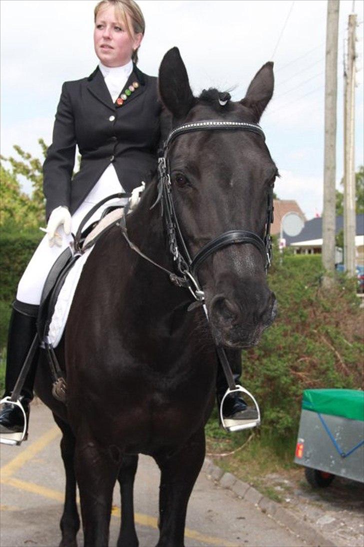 Dansk Varmblod Sahra- Må du hvile i fred - Min sidste tur på min elskede.
 billede 3