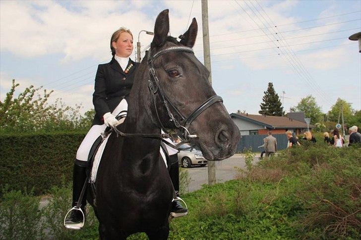 Dansk Varmblod Sahra- Må du hvile i fred - Min sidste tur på min elskede. billede 5