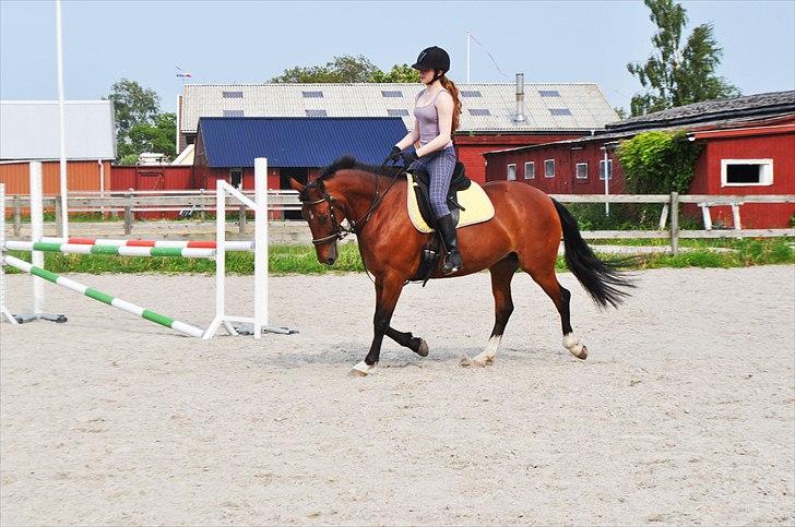 Anden særlig race Star - Lidt sommertræning, opvarmning til spring <3 ;D billede 10