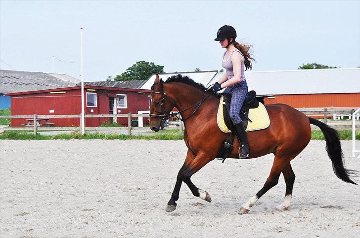 Anden særlig race Star - Lidt sommertræning, opvarmning til spring <3 ;D
Wee, galooop ;D billede 11