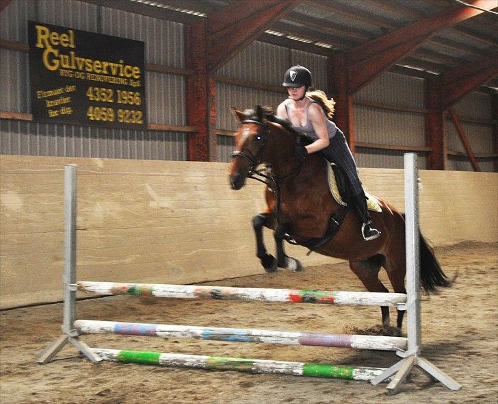 Anden særlig race Star - FLY ! :D Soon to the moon :P hihi billede 16