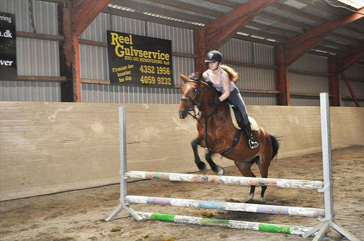 Anden særlig race Star - JUMP JUMP ! :D Vi kan godt :P billede 17