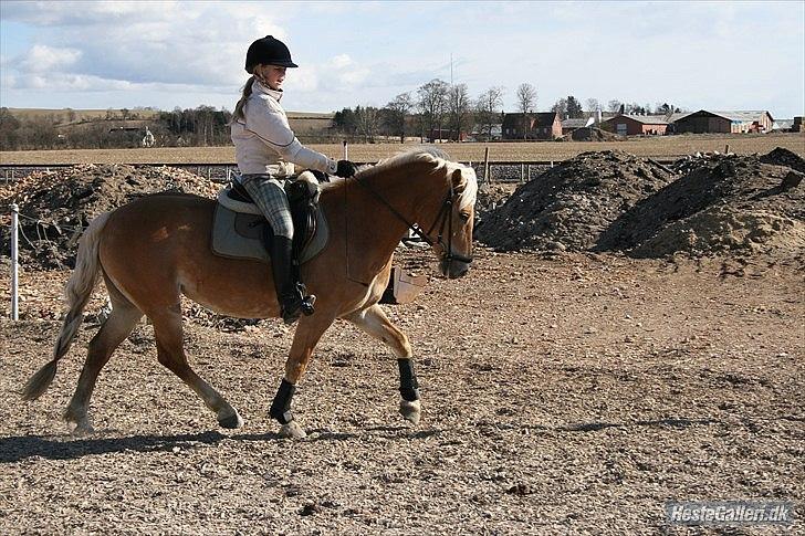 Tyroler Haflinger Kiwi - Kiwi og Jeg:-D.
Foto: Mor.
2010. billede 5