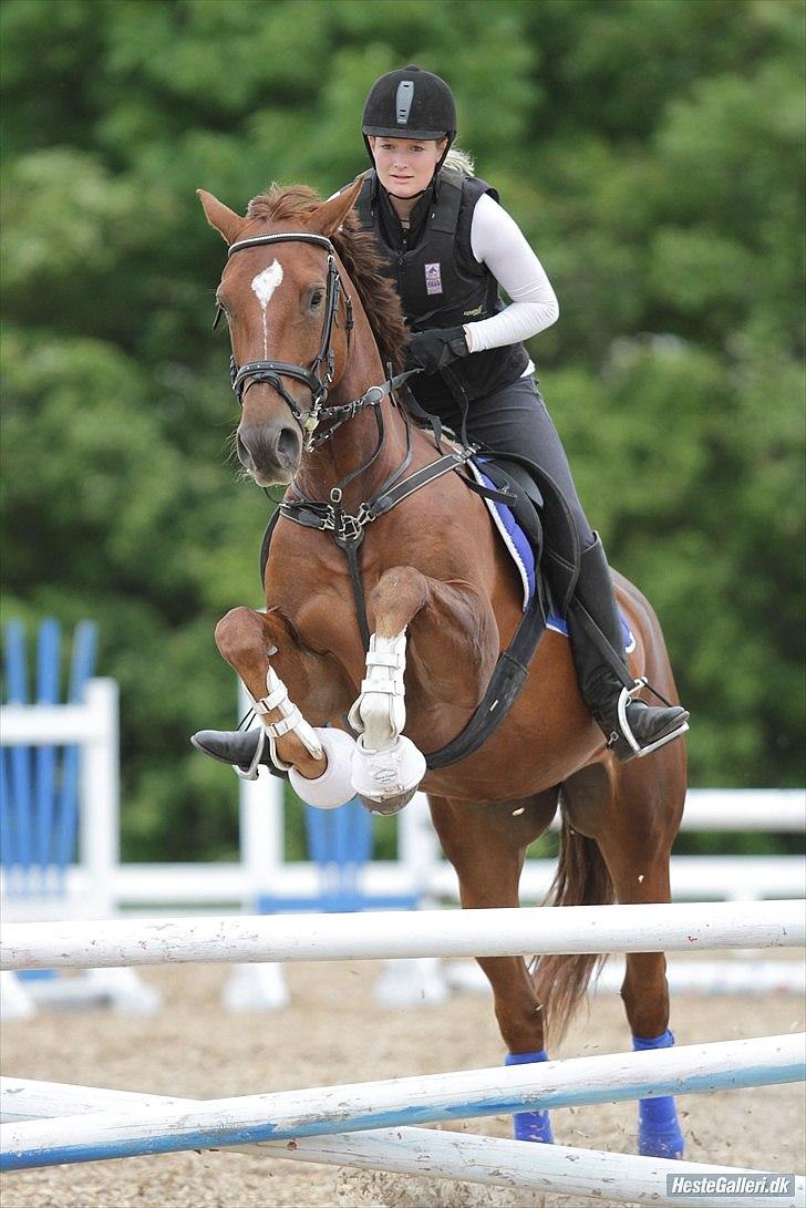 Oldenborg Maylady billede 9