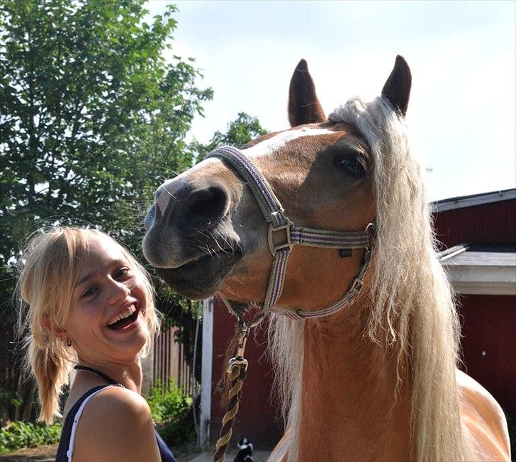 Haflinger Fiona - uuuh det kløede :D billede 1