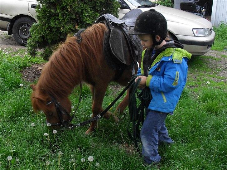 Anden særlig race Tøsen - Zean og Tøsen 31/5-2011 billede 13