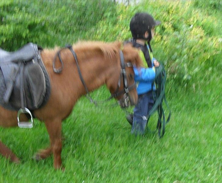 Anden særlig race Tøsen - 31/5-2011 billede 15