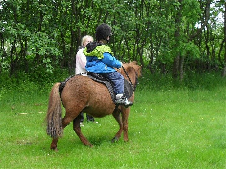 Anden særlig race Tøsen - 31/5-2011 billede 16