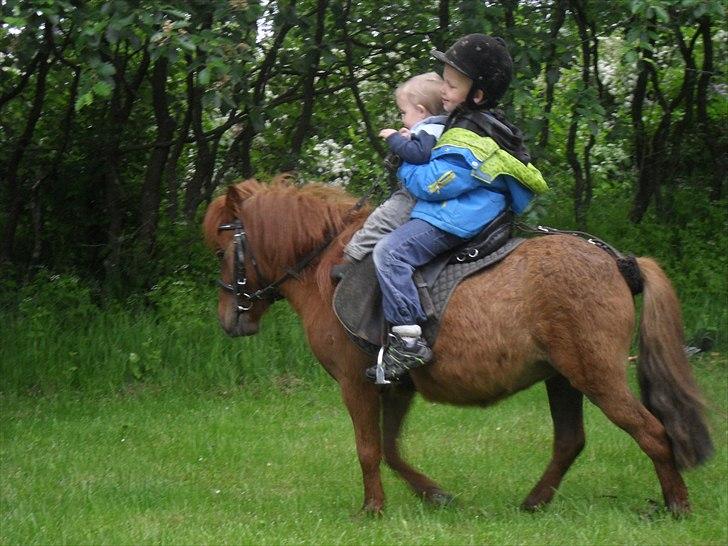 Anden særlig race Tøsen - zean giver lillebror på 11 md en ride tur, det var ikke helt nemt at ride selv og holde lillebror på samtidig ;o) 31/5-2011 billede 19