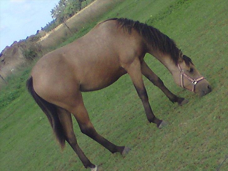 Anden særlig race Gucci - stoor pige d:
- plag nu :) billede 10