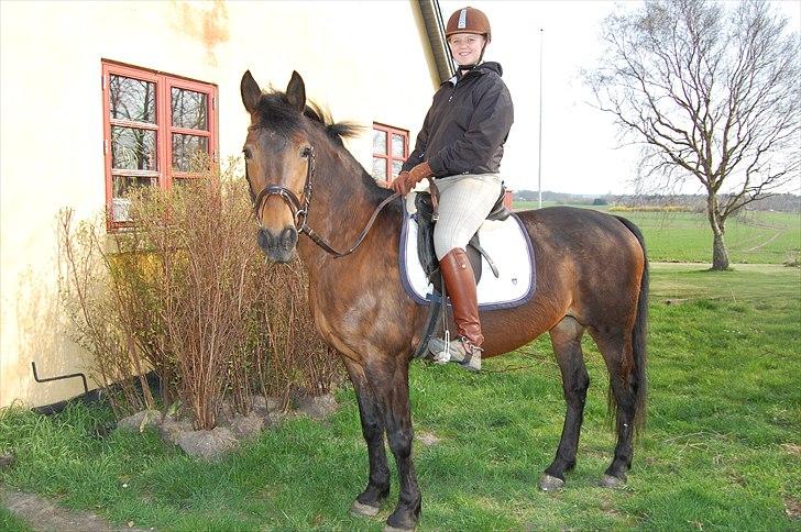 Anden særlig race Chelitta billede 7