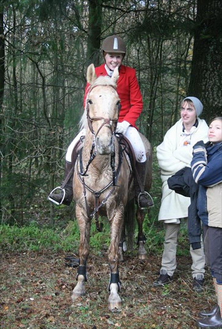 Palomino Bornhorse Pelle - til Hubertus 2010 - i pausen billede 14