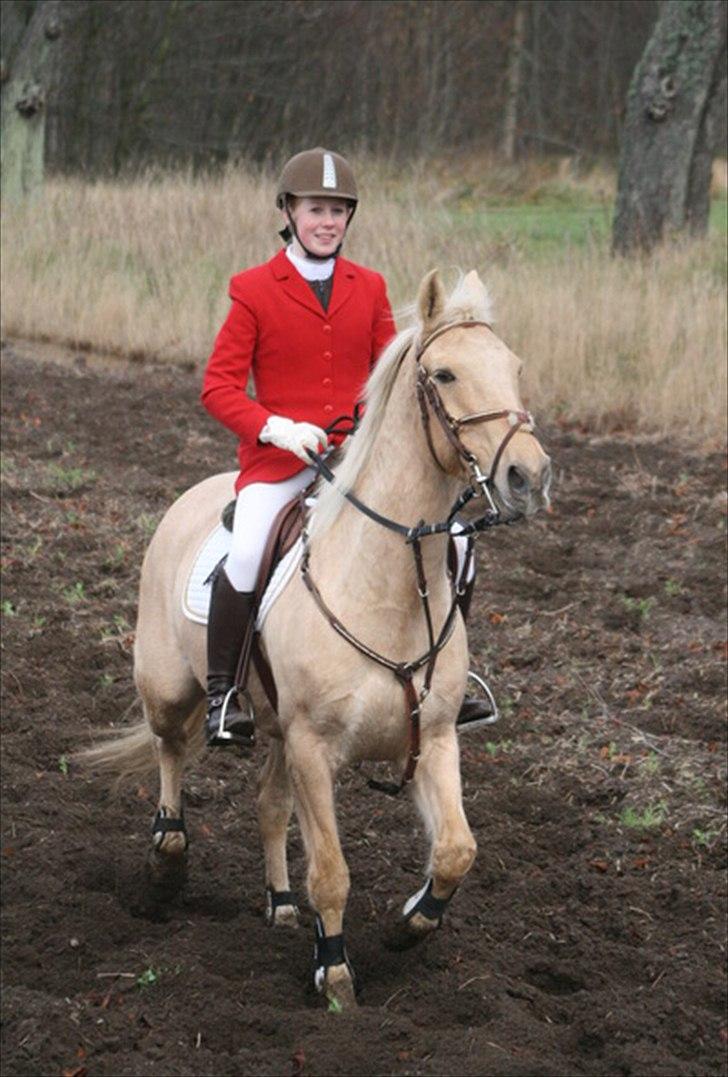 Palomino Bornhorse Pelle - Hubertus 2010 billede 16