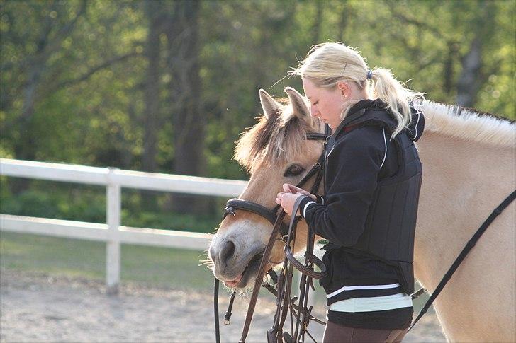 Fjordhest Frede - Kigger på de andre som er gået igang med springningen imens Louise skifter mit hovedtøj, hun har ingen idé om hvade jeg vil udsætte hende for idag ;) billede 7