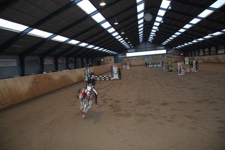 Welsh Pony (sec B) Teggi (SOLGT) - mig og mor i lc vi drejer vist lidt skapt billede 5