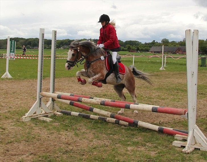 Welsh Pony (sec B) Teggi (SOLGT) - mig og mor på opvarmningen:)
vi veter på at komme ind på banen i farmland cup billede 6