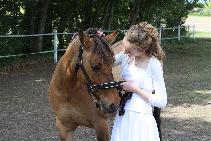 Anden særlig race  | Isabella * min skat :') SOLGT - Min skønne pony til min skønne konfirmation :) <3 billede 3