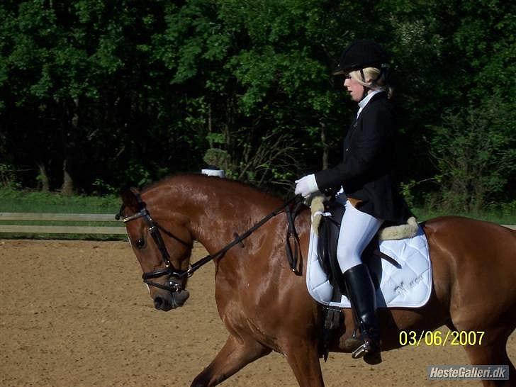 DSP Malou - Malou og hendes gamle ejer til deres første stævne i Brande billede 3