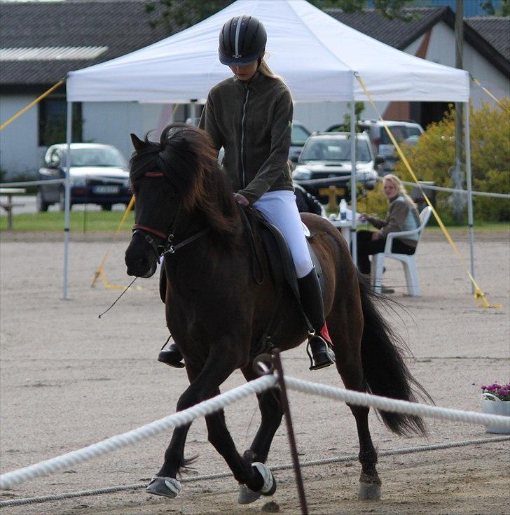 Islænder Ganti fra Døesbæk - Only a true friend can make you smile with tears in your eyes. ♥ billede 10