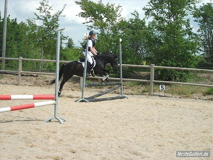 DSP Lisse <3  - springning det er du best til<3 billede 15
