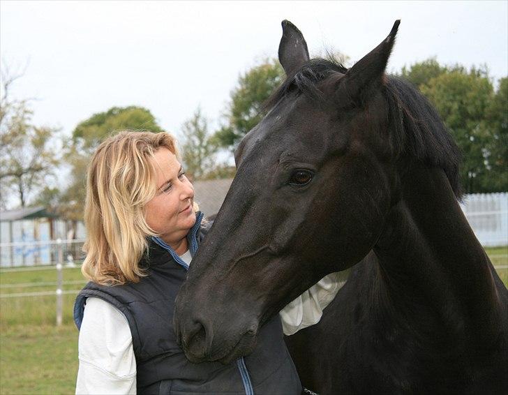 Oldenborg Max himmelhest - totalt hygge billede 4