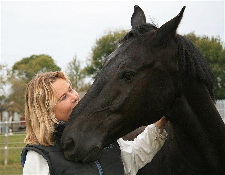 Oldenborg Max himmelhest - total love billede 7