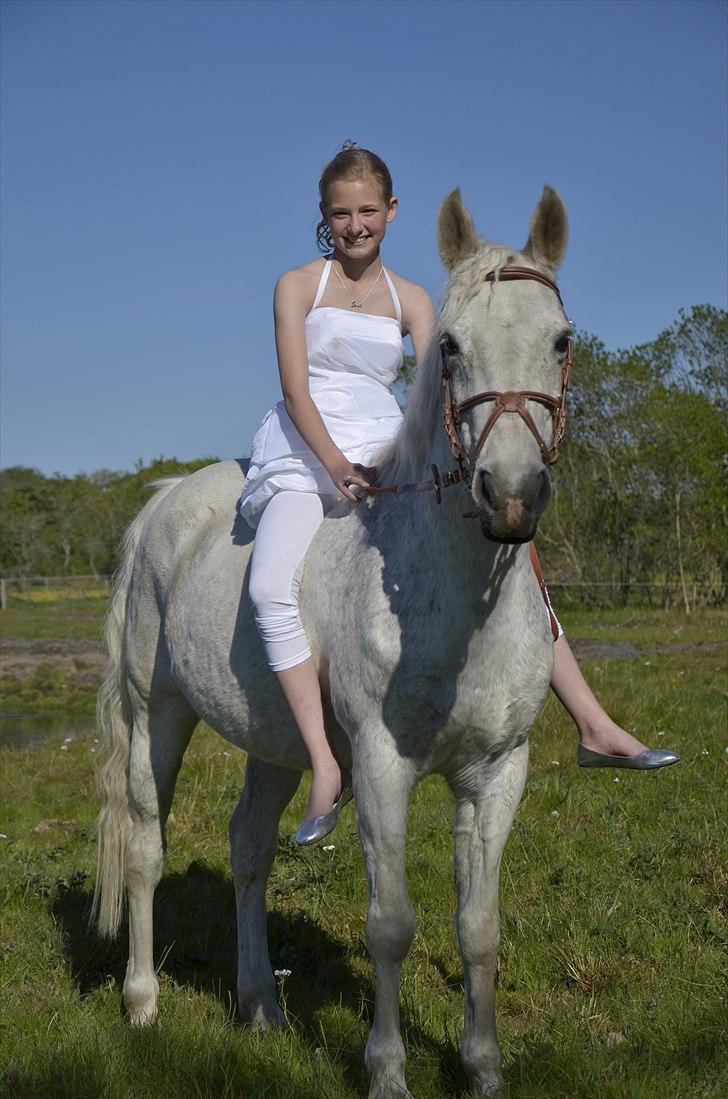 Anden særlig race | Silas <3. -  Nyd hvert øjeblik, før det forsvinder - før det bliver til intet andet, end blot minder..♥ | Min konfirmation 2011.  billede 3