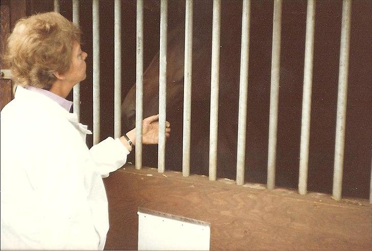 Anden særlig race Karina R.I.P. - Dyrskude 85 billede 16