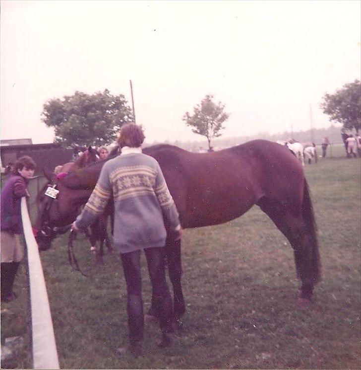 Anden særlig race Karina R.I.P. - Dyrskude 85 billede 17