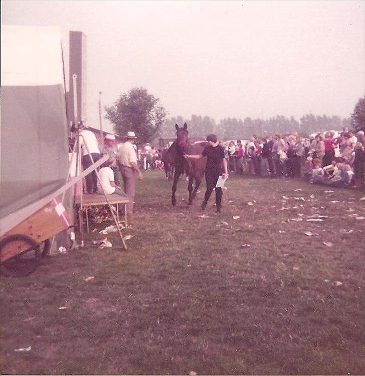 Anden særlig race Karina R.I.P. - Dyrskude 85 billede 19