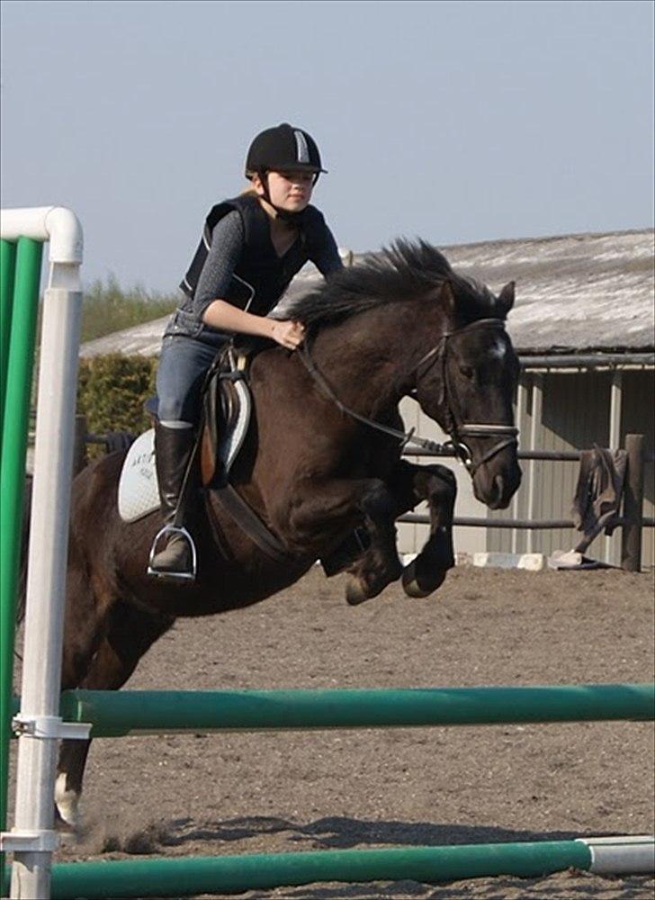 Anden særlig race Bandit<3 - På det her billede springer mig og dejlige Bandit. Det er taget af: Maria Mortensen. Tak fordi du tog billeder Maria! :D billede 7