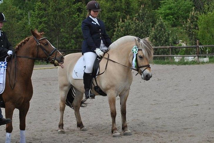 Anden særlig race • Low Länder • RIP 10/8-16 • - stævne i SOS Lasse rækker tunge, ved ikke om det er over han har den blå
 2010 billede 4