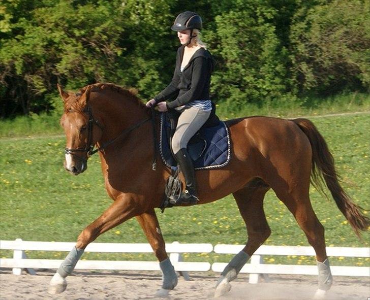 Oldenborg Kubriano langmose billede 3