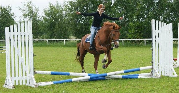 Oldenborg Kubriano langmose - With you I can fly! <3 billede 6