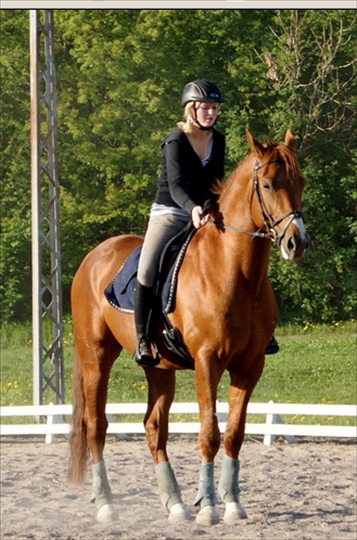 Oldenborg Kubriano langmose billede 18