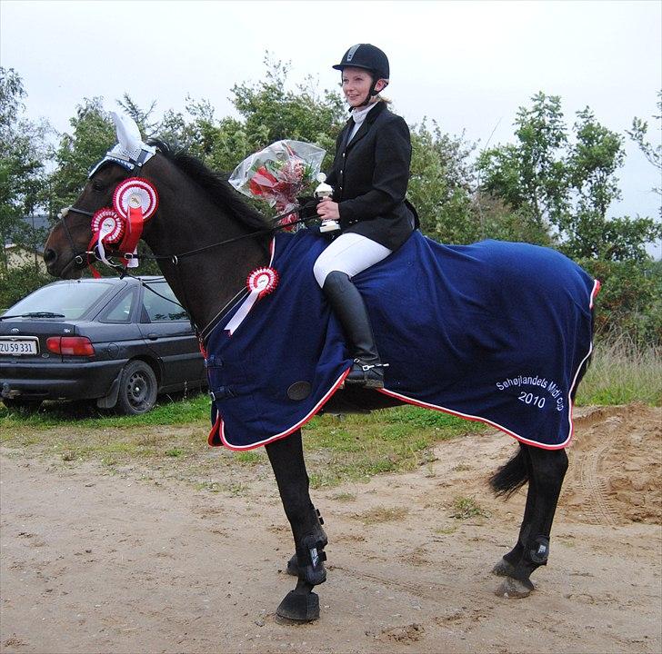 Anden særlig race Bastian *Stjernen*:-) - Stjerne hesten vinder ShCup Midi 2010.:-) billede 11