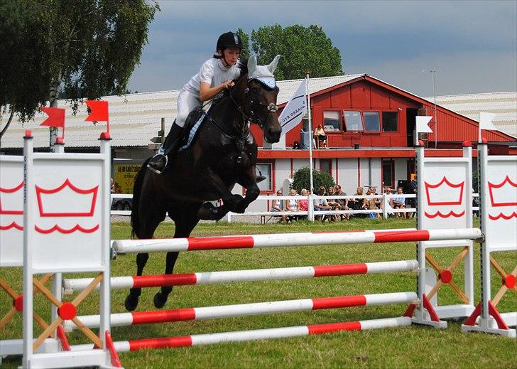 Anden særlig race Bastian *Stjernen*:-) - Jysk rideuge 2010 LB* billede 13